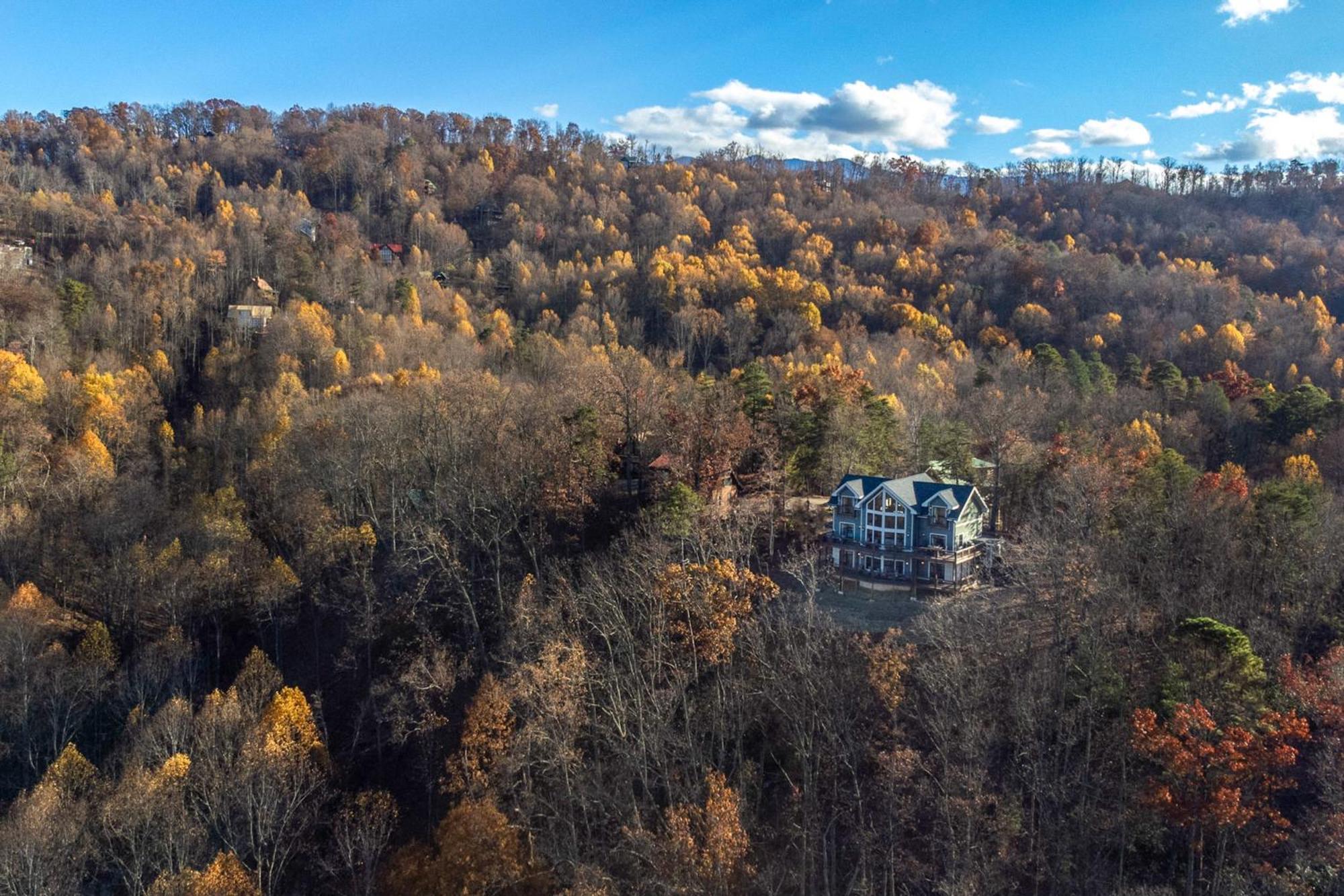 The Treetop Sanctuary سيفيرفيل المظهر الخارجي الصورة